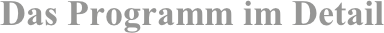 Das Programm im Detail